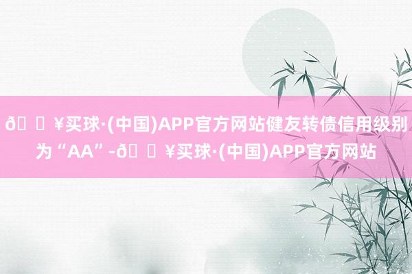 🔥买球·(中国)APP官方网站健友转债信用级别为“AA”-🔥买球·(中国)APP官方网站