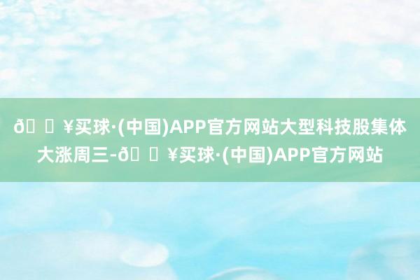 🔥买球·(中国)APP官方网站　　大型科技股集体大涨　　周三-🔥买球·(中国)APP官方网站