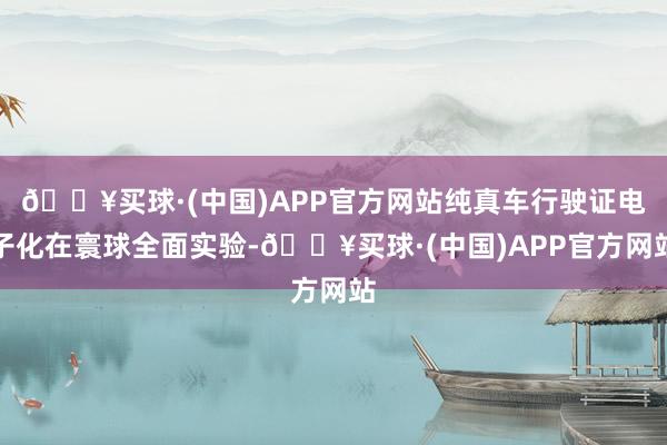 🔥买球·(中国)APP官方网站纯真车行驶证电子化在寰球全面实验-🔥买球·(中国)APP官方网站