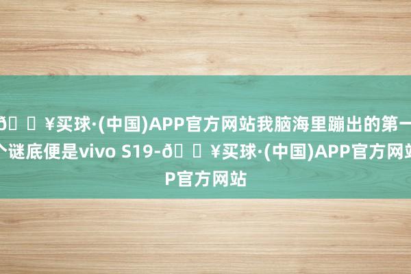 🔥买球·(中国)APP官方网站我脑海里蹦出的第一个谜底便是vivo S19-🔥买球·(中国)APP官方网站
