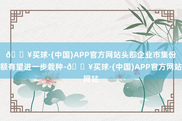 🔥买球·(中国)APP官方网站头部企业市集份额有望进一步栽种-🔥买球·(中国)APP官方网站