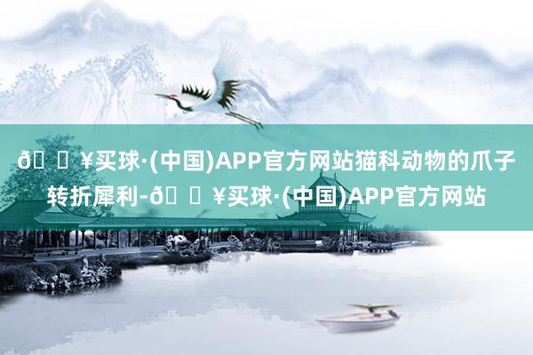 🔥买球·(中国)APP官方网站猫科动物的爪子转折犀利-🔥买球·(中国)APP官方网站