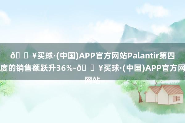 🔥买球·(中国)APP官方网站Palantir第四季度的销售额跃升36%-🔥买球·(中国)APP官方网站