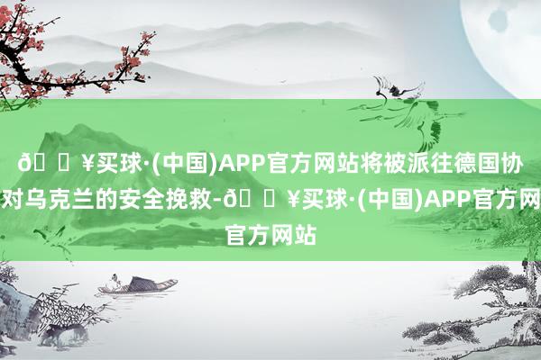 🔥买球·(中国)APP官方网站将被派往德国协作对乌克兰的安全挽救-🔥买球·(中国)APP官方网站