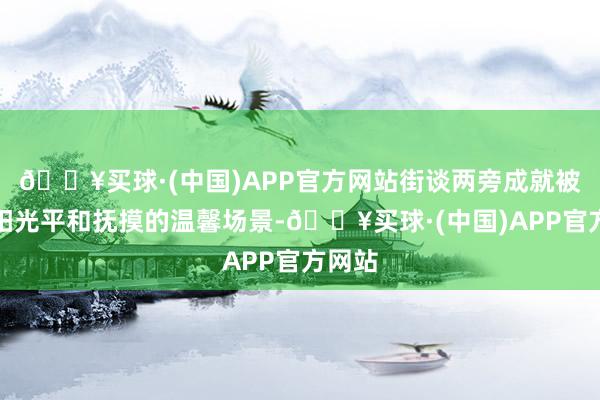 🔥买球·(中国)APP官方网站街谈两旁成就被金色阳光平和抚摸的温馨场景-🔥买球·(中国)APP官方网站