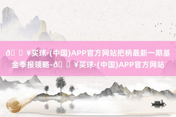 🔥买球·(中国)APP官方网站把柄最新一期基金季报领略-🔥买球·(中国)APP官方网站