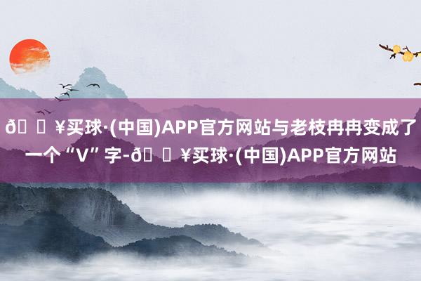 🔥买球·(中国)APP官方网站与老枝冉冉变成了一个“V”字-🔥买球·(中国)APP官方网站