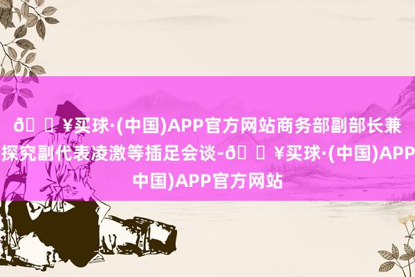 🔥买球·(中国)APP官方网站商务部副部长兼国外生意探究副代表凌激等插足会谈-🔥买球·(中国)APP官方网站