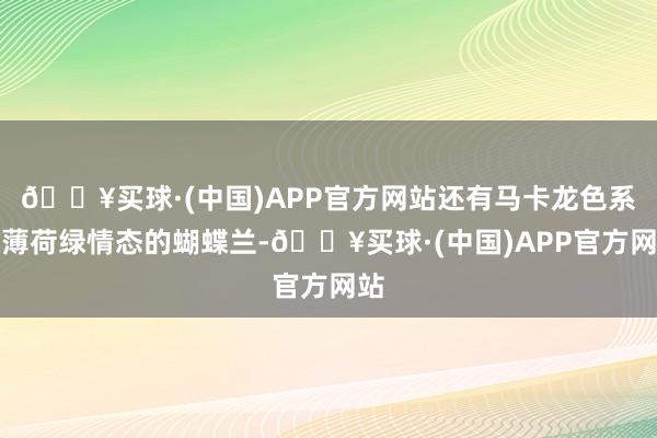 🔥买球·(中国)APP官方网站还有马卡龙色系及薄荷绿情态的蝴蝶兰-🔥买球·(中国)APP官方网站