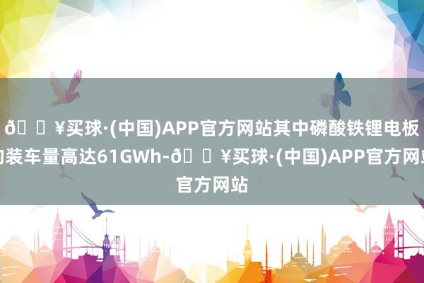 🔥买球·(中国)APP官方网站其中磷酸铁锂电板的装车量高达61GWh-🔥买球·(中国)APP官方网站