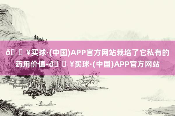 🔥买球·(中国)APP官方网站栽培了它私有的药用价值-🔥买球·(中国)APP官方网站