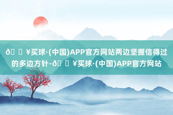 🔥买球·(中国)APP官方网站两边坚握信得过的多边方针-🔥买球·(中国)APP官方网站