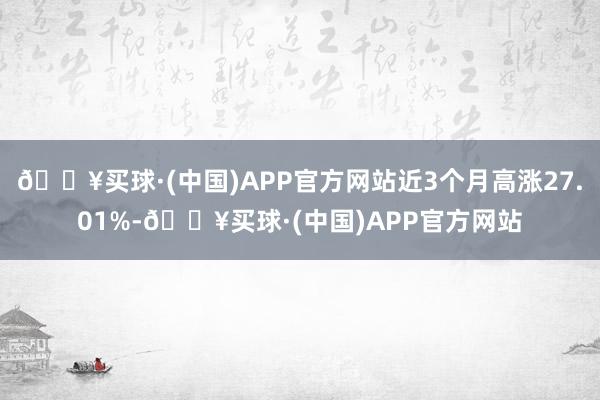 🔥买球·(中国)APP官方网站近3个月高涨27.01%-🔥买球·(中国)APP官方网站