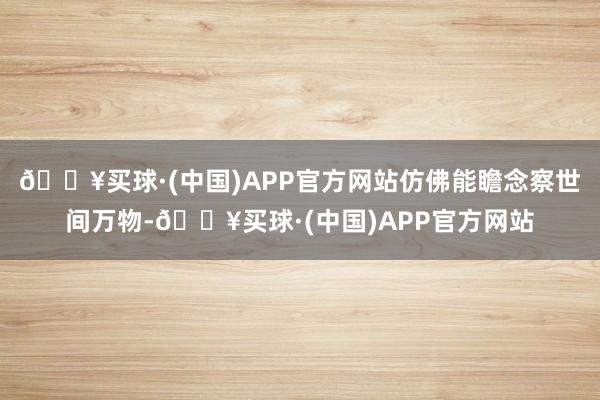 🔥买球·(中国)APP官方网站仿佛能瞻念察世间万物-🔥买球·(中国)APP官方网站