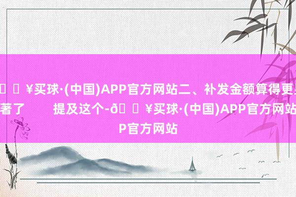 🔥买球·(中国)APP官方网站二、补发金额算得更显著了        提及这个-🔥买球·(中国)APP官方网站